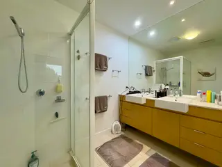 Handheld shower fitting with hose, in the frame that shows it